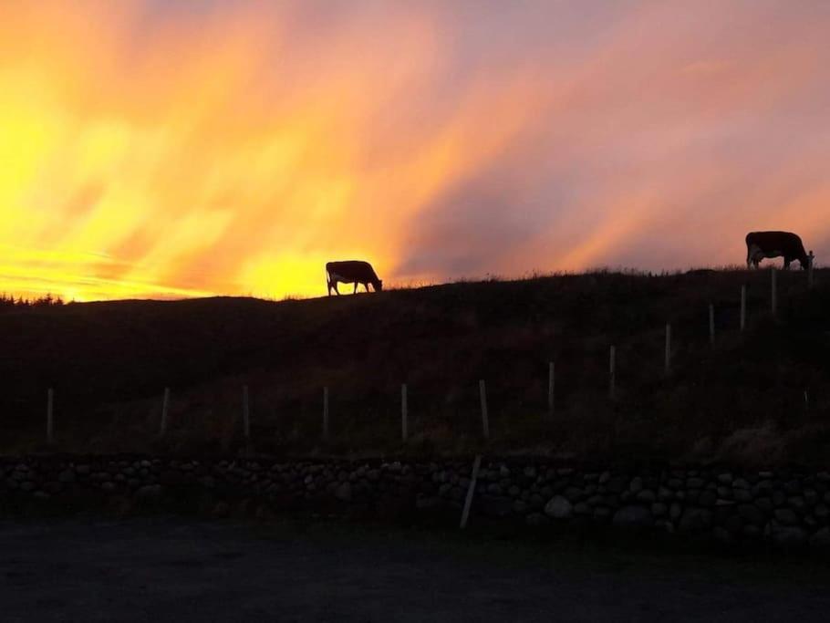 Appartamento The Longhouse At Lista Farsund Esterno foto